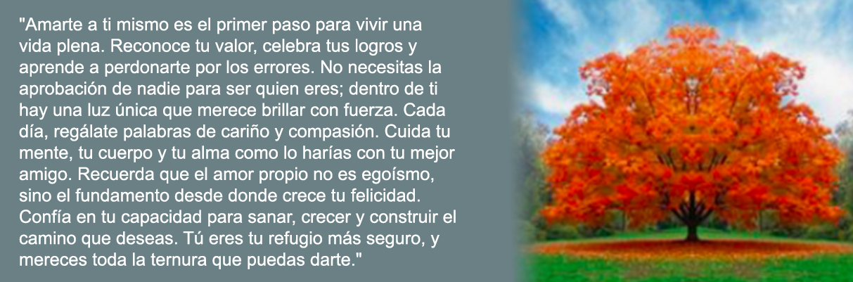 250811 0135 slideshow3